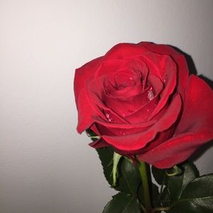 Meet your Posher, America